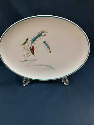 Buy Denby Ware  Greenwheat   Serving Platter In Excellent Condition  • 9.99£