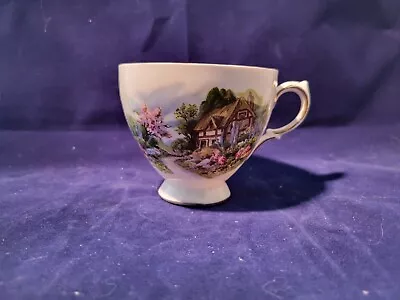 Buy Royal Vale Bone China Tea Cup Made In England • 9.47£