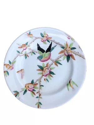 Buy Antique W.A.A. William A Adderley Hand Painted Bird Bone China Salad Plate THORN • 46.36£