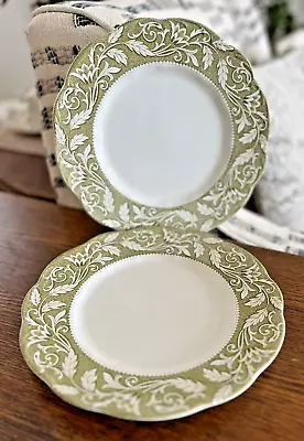 Buy J & G Meakin Sterling Renaissance Green & White Dinner Plates _ 3 Sets Available • 14.21£