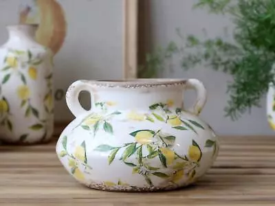 Buy Rustic Large Plant Pot Vase, Lemon Pot With Handles, Mediterranean Pot,Limone • 30£