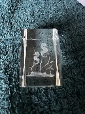 Buy Crystal Glass Laser Etched Paperweight Seahorses • 12£
