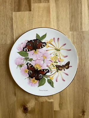 Buy **RARE** ROYAL GRAFTON Fine Bone China Collectors Plate  Peacock Butterfly  • 18£