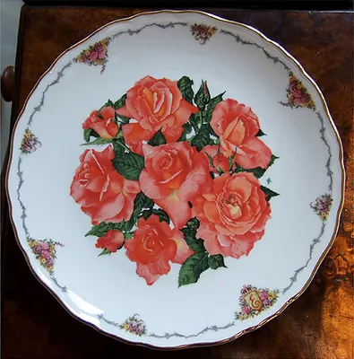 Buy Royal Albert Bone China Cabinet Plate - Elizabeth Of Glamis Rose  • 5£