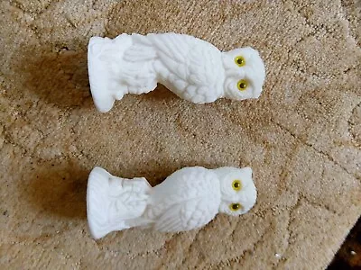 Buy Pair White  Owls In Perfect Condition • 4.99£