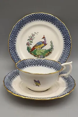 Buy Antique Copeland Spode China Exotic Birds & Butterflies & Insects Trio (#4) • 15£