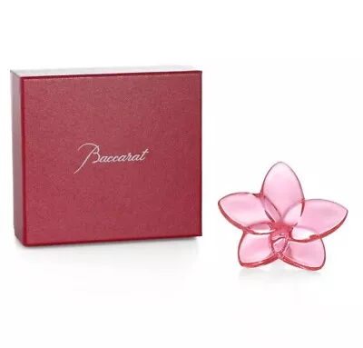 Buy Baccarat Figure Bloom Crystal Flower Pink Baccarat 2814970 From Japan • 184.10£