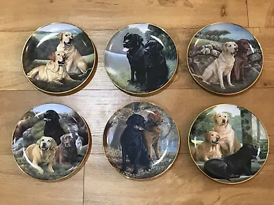 Buy Franklin Mint Heirloom Labrador Set Of 6 Limited Edition Plates By Nigel Hemming • 9.99£