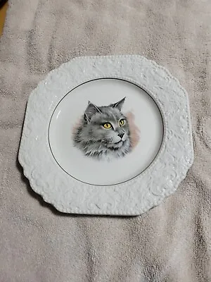 Buy Vintage Gray Cat Plate W/ Gold Trim; Lord Nelson Pottery England GUC SEE PICS • 17.93£