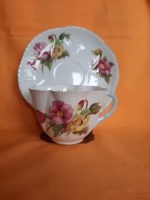 Buy SHELLEY FINE BONE CHINA BEGONIA No 13427 FLUTED CUP & SAUCER DUO SET • 5£