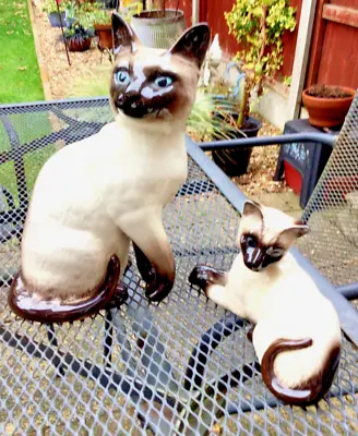 Buy Beswick Siamese Cat & Kitten  Model 1558 Second Version  & 1882 • 25£