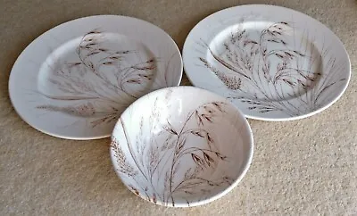 Buy 3 Hand Engraved Staffordshire Wheat Plates Bowl By English Ironstone Tableware  • 14.99£