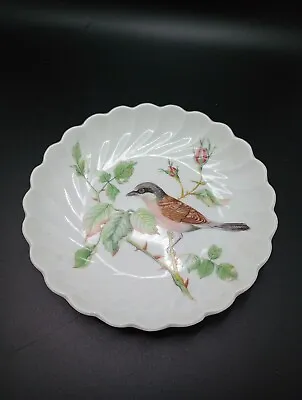 Buy HAVILAND LIMOGES FRANCE  Porcelain Scalloped Bird Trinket Dish Plate Pie Grieche • 7.59£