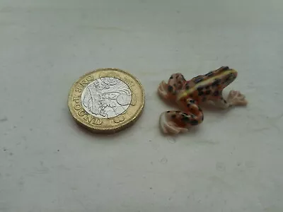 Buy Frog - Beautiful - Detailed Colourful Tiny Miniature Pottery Brown, Black Frog  • 3.20£