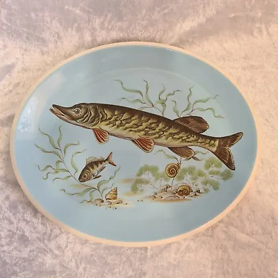Buy TG Green & Co Church Gresley Potteries Platter Oval Rare - Chipped, See Photos  • 6.99£