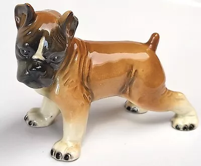 Buy Vintage Boxer Puppy Dog Figure. 5  Long Ceramic Ornament. Contendorf ? PreLoved  • 6.99£
