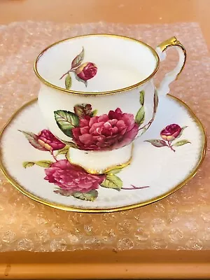 Buy Royal Crest Vintage Teacup And Saucer. Fine Bone China. Made In England. • 39.78£