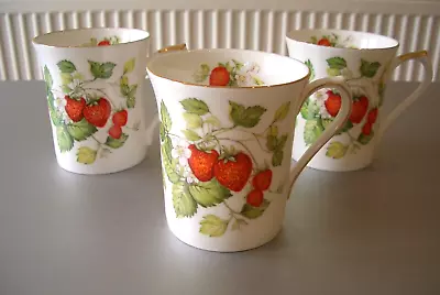 Buy Queens Bone China - Virginia Strawberry - 3 Mugs With Gilt Trim • 19£