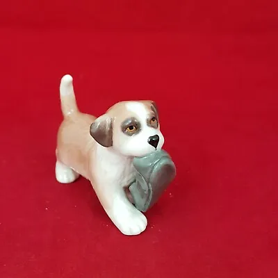 Buy Royal Copenhagen Mini Collection St Bernard Puppy With Shoe 744 - RCH 5489  • 125£