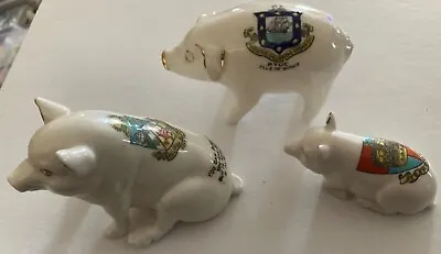 Buy Vintage Collection Of Crested China Pigs • 10£
