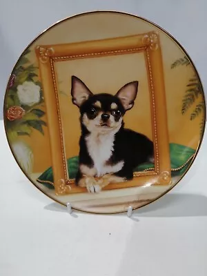 Buy Danbury Mint Chihuahua “Pretty As A Picture” By John Silver Limited Edition • 21£