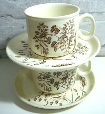 Buy Windswept J & G Meakin Pottery 2 X Cups And Saucers  • 10.99£