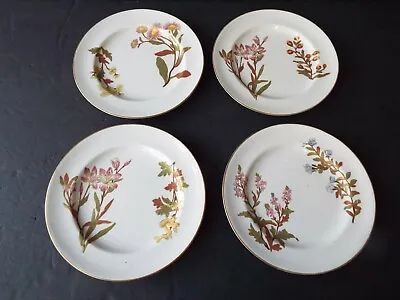 Buy Set 4 Antique Royal Worcester Blush Ivory Art Nouveau Botanical Plates • 57.67£