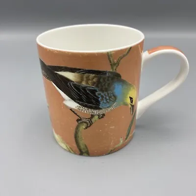 Buy QUEENS Bird Mug John Frederick Miller Cuculus Poliocephalus Cuckoo Ceramic 350ml • 6.99£