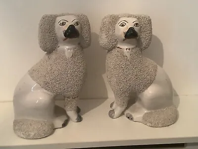 Buy Staffordshire  Pair Textured Finish Spaniels Antique Mid Victorian • 29.85£