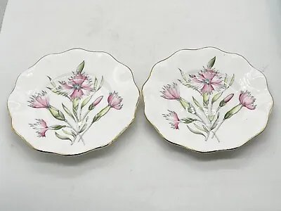 Buy Vintage Pair Of Pink 1850 Foley Bone China Side Plates • 17.99£