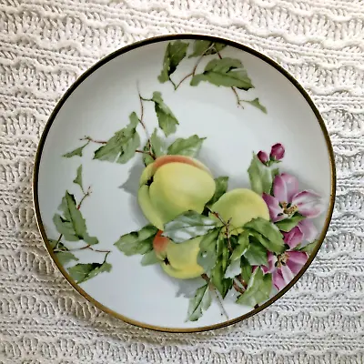 Buy Vintage Rosenthal Bavaria Plates Hand Painted Green Apples Gold Trim 8.5  D • 11.53£