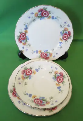 Buy Vintage Salisbury Fine Bone China Tea Plate And Saucer • 5£