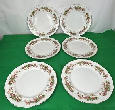 Buy Queens Rosina China Co ‘woman And Home ‘ X6 Dinner Plates 11 Inches • 18.99£