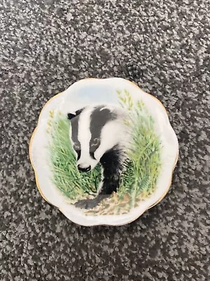 Buy Fenton China Company Mini Plate With Badger On • 0.99£
