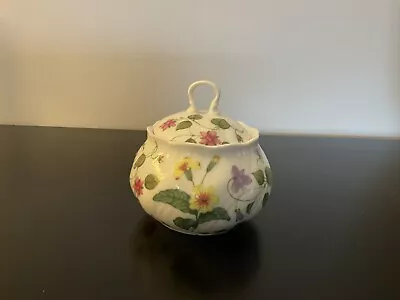 Buy Queen’s Fine Bone China “Country Meadow” Lidded Sugar Bowl Pristine • 9.99£