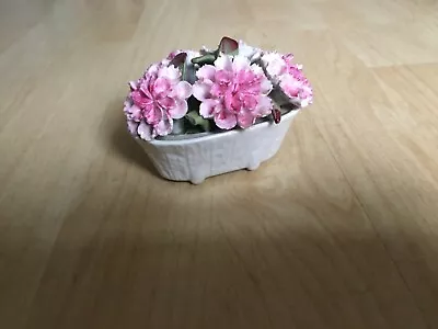Buy Aynsley August Carnation China Flower Display Basket Decoration -- L@@@k • 1.99£