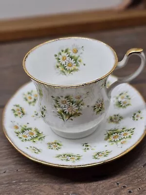 Buy Royal Minister Fine Bone China Made In England Tea Cup & Saucer Daisy Flowers • 14.36£