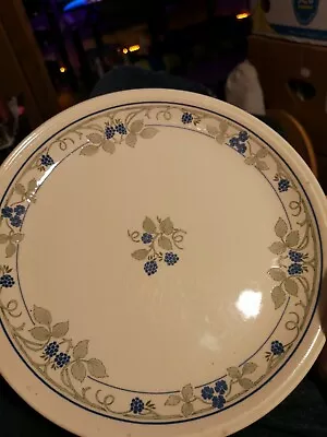 Buy Staffordshire Tableware Pair Dinner Plates • 6£