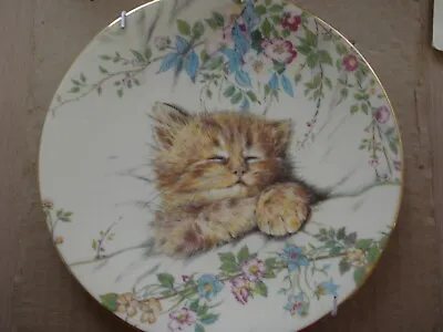 Buy Royal Worcester Crown Ware Bone China Plate   Cat Nap  Kitten Classics 1985 • 10£