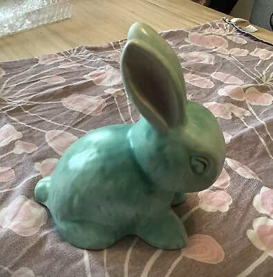 Buy Snub Nosed Rabbit • 30£