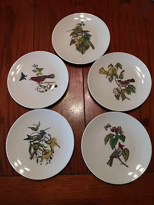Buy 5 Porcelain Salad Plates, Gerard Dufraisseix Abbot GDA Limoges France, Birds • 33.73£