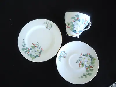 Buy Vintage Duchess White Rose Trio  Tea Cup & Saucer Plate Set Bone China England • 8.16£