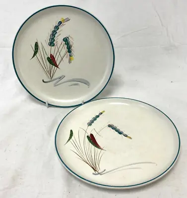 Buy Denby Greenwheat Stoneware Plates 8  • 9£