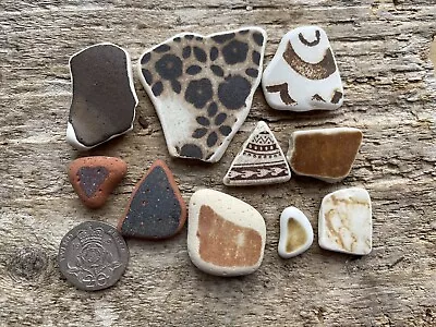 Buy Scottish Sea Pottery Pieces. Brown. 6.4.3 • 5.50£
