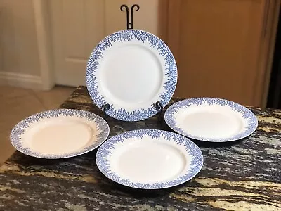 Buy Martha Stewart Stockholm Porcelain 11 3/8  Dinner Plates Set Of 4 Dinnerware • 47.54£