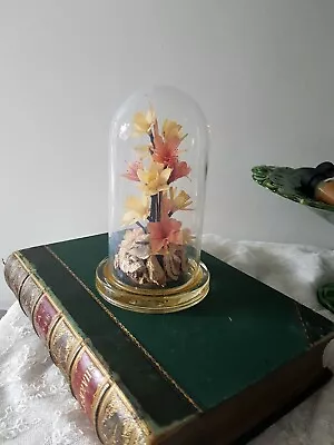 Buy Captive Gardens By Michael Curzon Glass Dome Real Flowers Ornament (15 Cm Tall) • 20£