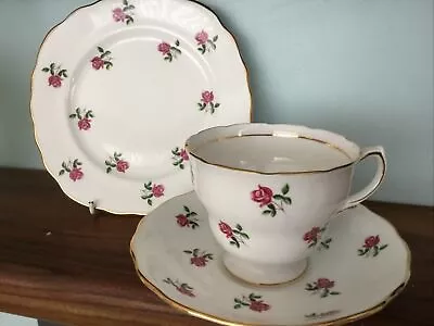 Buy COLCLOUGH  DITSY ROSE TRIO CUP SAUCER PLATE . 1960’s • 5£