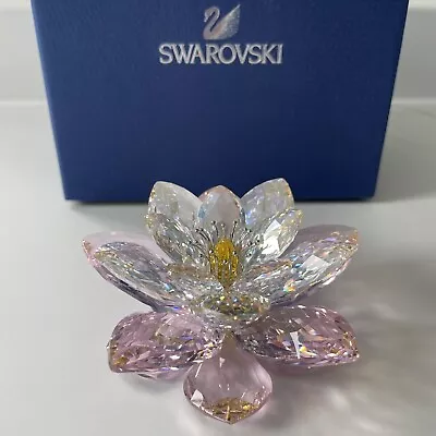Buy Swarovski Crystal - Waterlily Rosaline - 1141674  Mint Condition. Boxed • 275£