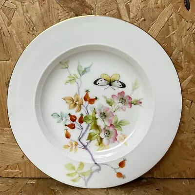 Buy Antique 1906 Royal Worcester Hand Painted Plate 15.5cm - Butterfly & Rosehips • 4.99£