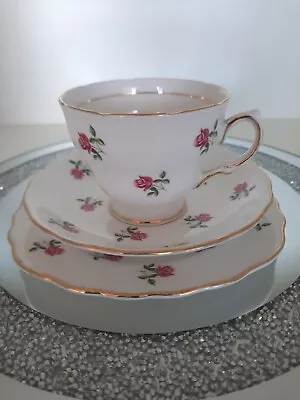 Buy (e)vintage Colclough Pink Rose Trio Cup Saucer Plate Bone China  • 4.90£
